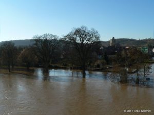 Hochwasser am 16.01.2011 bei Winterhausen.