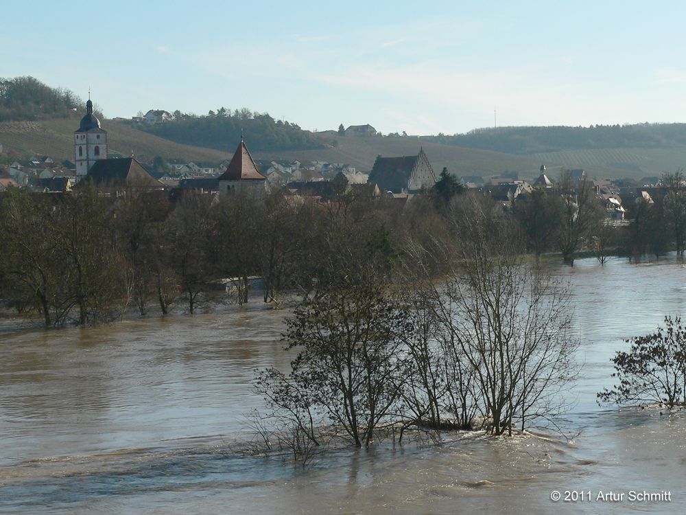 Hochwasser am 16.01.2011 bei Sommerhausen.