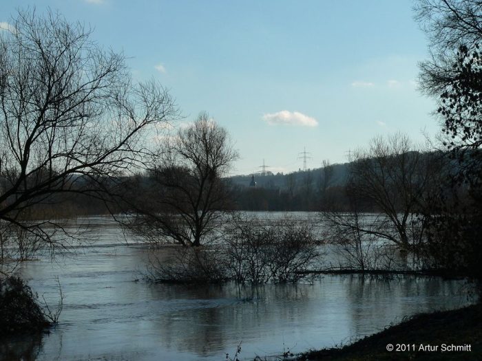 Hochwasser am 16.01.2011 bei Goßmannsdorf.