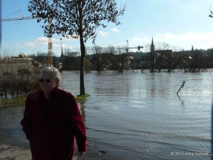 Hochwasser am 16.01.2011 bei Ochsenfurt.