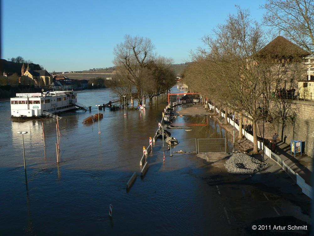 Hochwasser am 16.01.2011 in Würzburg. Mainkuh und überfluteter Willy-Brandt-Kai.