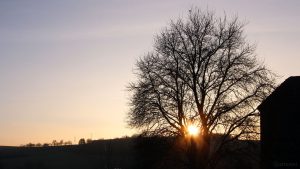 Sonnenuntergang in Eisingen am 28. Dezember 2018