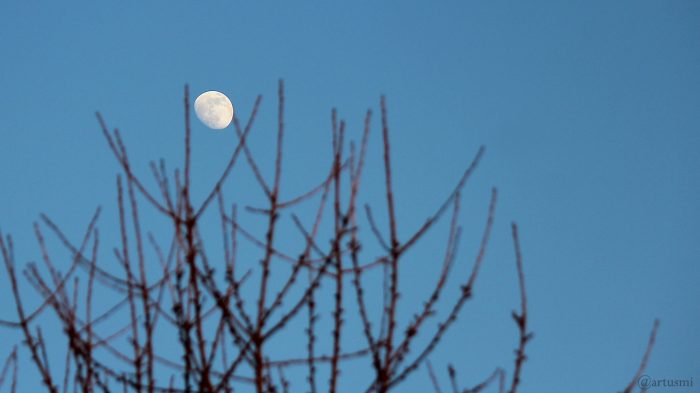 Zunehmender Mond am 16. Februar 2019 um 17:21 Uhr am Osthimmel