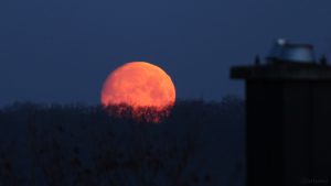 Untergehender Mond am 19. März 2019 um 05:53 Uhr