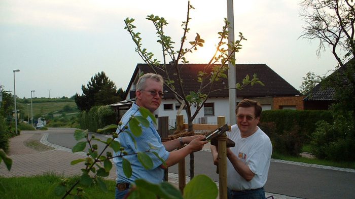 Robert Bromma und Helmuth Hemmerich nach der Pflanzung des Apfelbaums aus Bernières-sur-Mer am 3. Juni 2003
