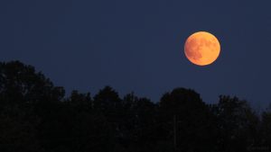 Mondaufgang über dem Guttenberger Forst am 16. Juli 2019 um 21:37 Uhr