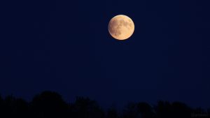 Mondaufgang über dem Guttenberger Forst am 16. Juli 2019 um 21:43 Uhr