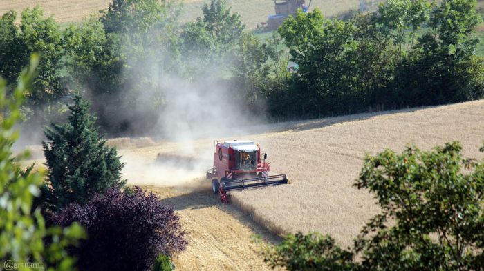 Getreideernte in Eisingen am 24. Juli 2019 bei 36 °C
