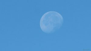 Abnehmender Mond am 19. August 2019 um 08:39 Uhr am Westhimmel von Eisingen
