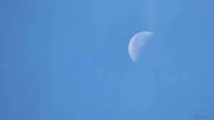 Abnehmender Mond (letztes Viertel) am 22. September 2019 um 10:06 Uhr