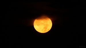 Untergehender Mond am 13. Oktober 2019 um 06:27 Uhr