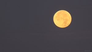 Untergehender Mond am 14. Oktober 2019 um 07:26 Uhr