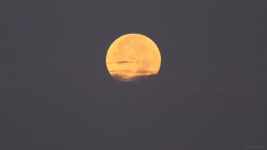Untergehender Mond am 14. Oktober 2019 um 07:28 Uhr