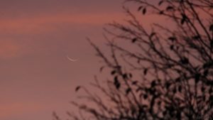 Schmale Sichel des abnehmenden Mondes am 26. Oktober 2019 um 07:45 Uhr