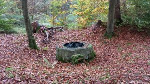 Köhlerbrunnen im Probstforst bei Waldbrunn am 30. Oktober 2019