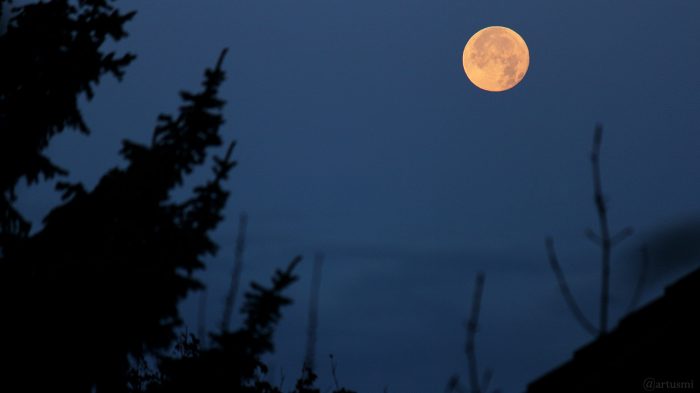 Untergehender Mond am Ende der Vollmondnacht 12./13. November 2019