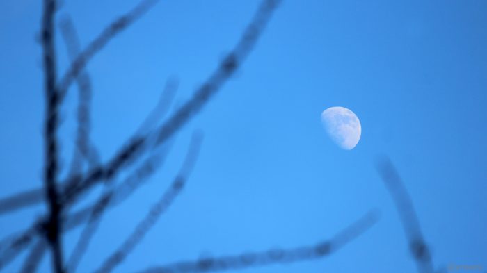 Zunehmender Mond mit Goldenem Henkel am 4. Februar 2020 um 15:36 Uhr