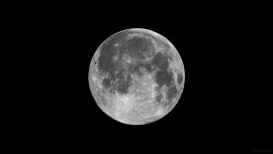 Vollmond am 9. Februar 2020 um 04:48 Uhr