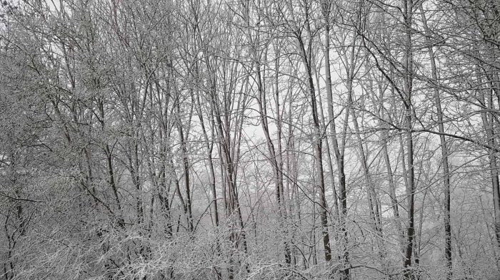 Wetterbild aus Höchberg vom 27. Februar 2020 um 17:30 Uhr
