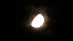 Goldener Henkel am 5. März 2020 um 00:05 Uhr am zunehmenden Mond