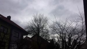 Wetterbild aus Eisingen vom 11. März 2020 um 12:50 Uhr