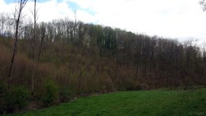 Blick zum Hügel mit Burgstall bei Kleinochenfurt am 14. April 2020