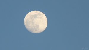 Zunehmender Mond am 5. Mai 2020 um 20:35 Uhr