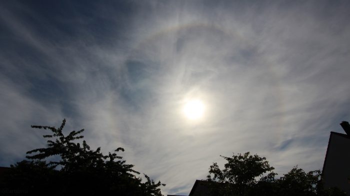 Sonnenhalo (22°-Ring) am 3. Juni 2020 um 09:06 Uhr