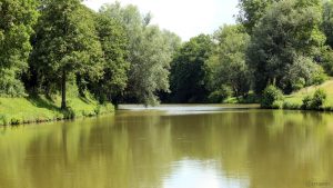 Fischweier bei Sommerhausen am 22. Juni 2020