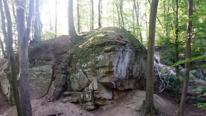 Naturdenkmal Werksandsteinbruch westlich von Höchberg am 30. Juli 2020