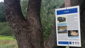 Infotafel Längsee bei Waldbüttelbrunn