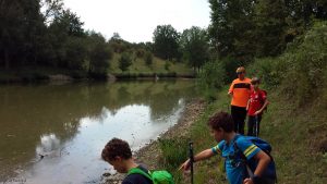 Niedrigwasser am Fischweier bei Sommerhausen am 5. September 2020