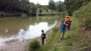 Niedrigwasser am Fischweier bei Sommerhausen am 5. September 2020