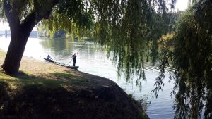 Mainfischer bei Randersacker