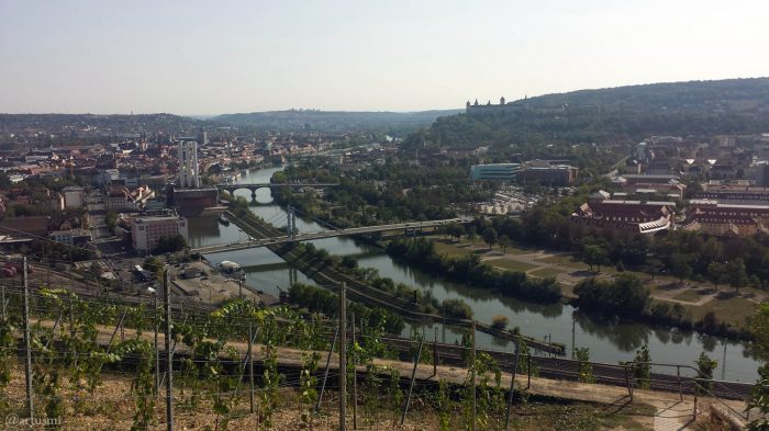 Blick vom Stein-Wein-Pfad auf Würzburg
