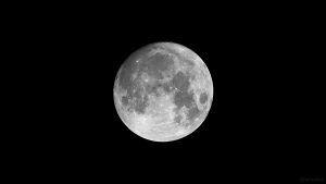 Zunehmender, zu 98,9% beleuchteter Mond am 1. Oktober 2020 um 00:47 Uhr