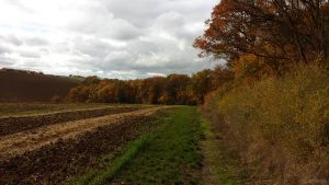 Wetterbild aus Eisingen vom 27. Oktober 2020