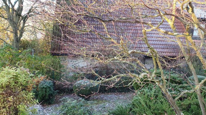 Erster leichter Frost im Herbst 2020 - Unser Garten am 5. November 2020