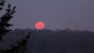 Monduntergang in Eisingen am 30. November 2020