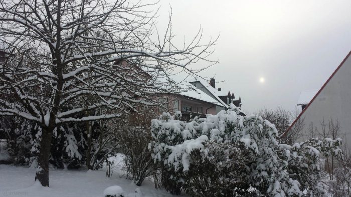 Wetterbild aus Eisingen vom 10. Februar 2021
