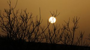 Untergehende Sonne am 24. Februar 2021 hinter Saharastaub