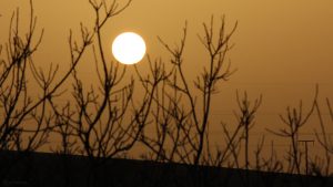 Untergehende Sonne am 24. Februar 2021 hinter Saharastaub