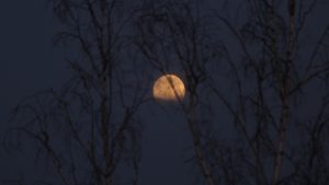 Zunehmender Mond verschwindet hinter Wolken