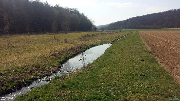 Waldbüttelbrunner Augraben am 4. April 2021