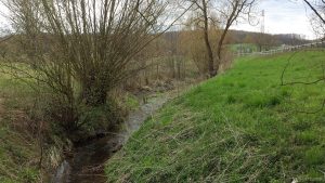 Haselbach nahe AS Helmstadt am 12. April 2021