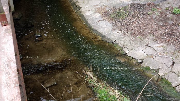 Zusammenfluss von Haselbach und Waldbüttelbrunner Augraben