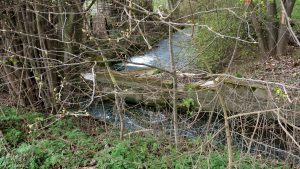 Aalbach bei Uettingen am 12. April 2021