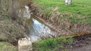Aalbach zwischen Roßbrunn und Uettingen am 12. April 2021