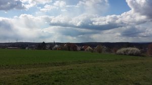 Waldbrunn am 13. April 2021