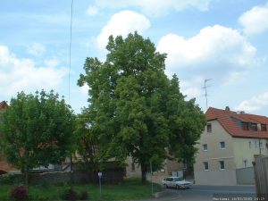 Grünfläche war ursprünglich der Ort des zweiten Friedhofs von Goßmannsdorf